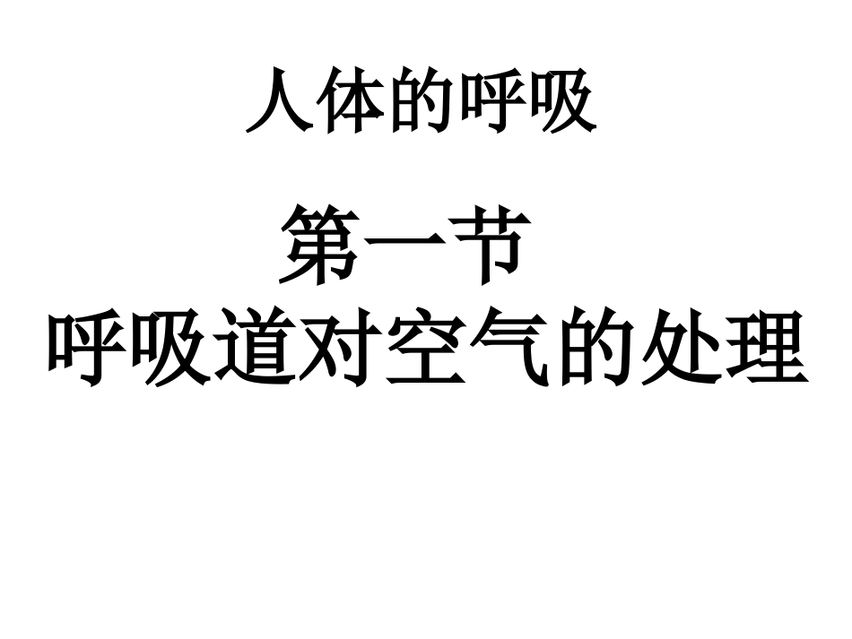 呼吸道对空气的处理_第1页