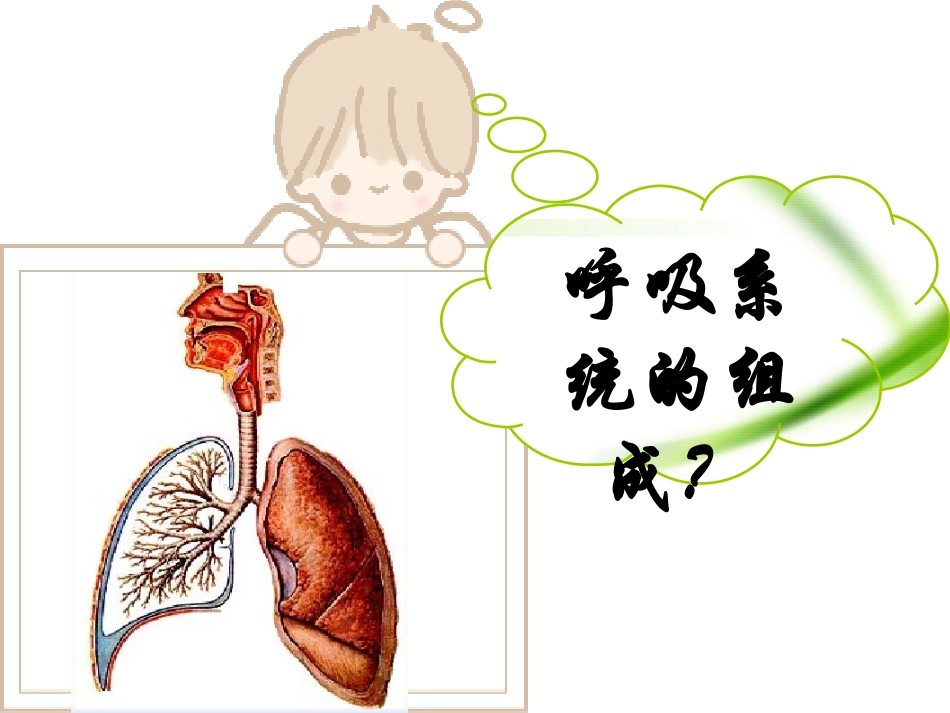 呼吸道对空气的处理_第2页