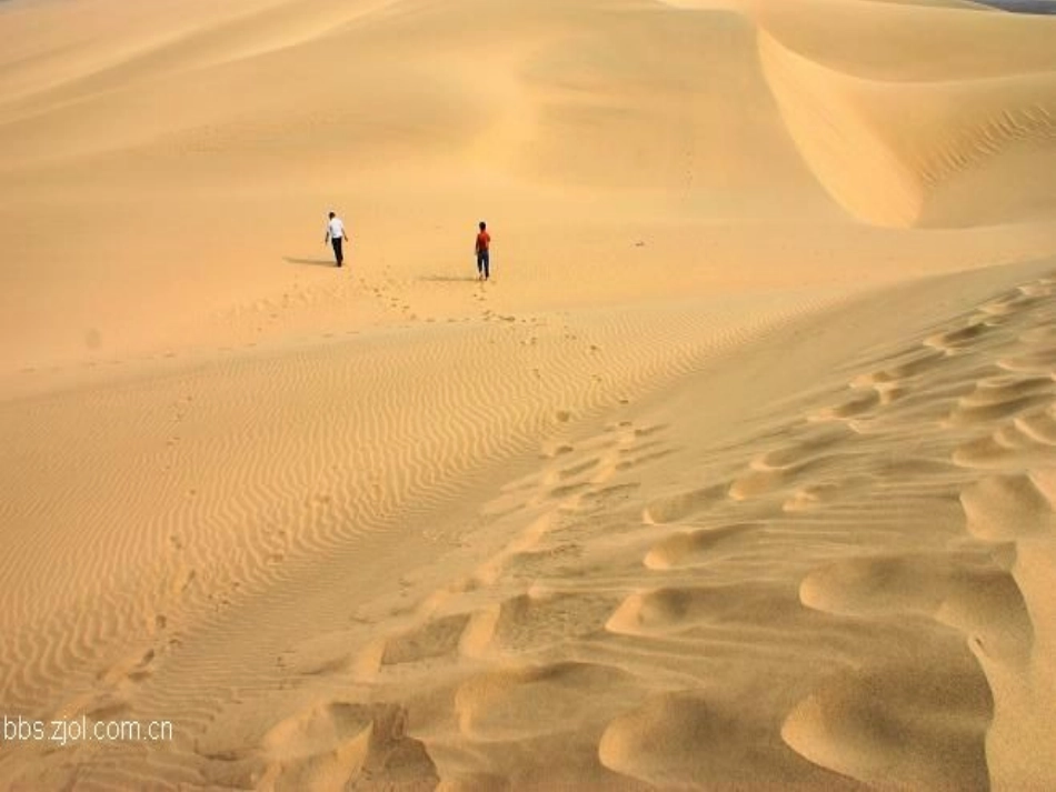 在沙漠中心._第1页