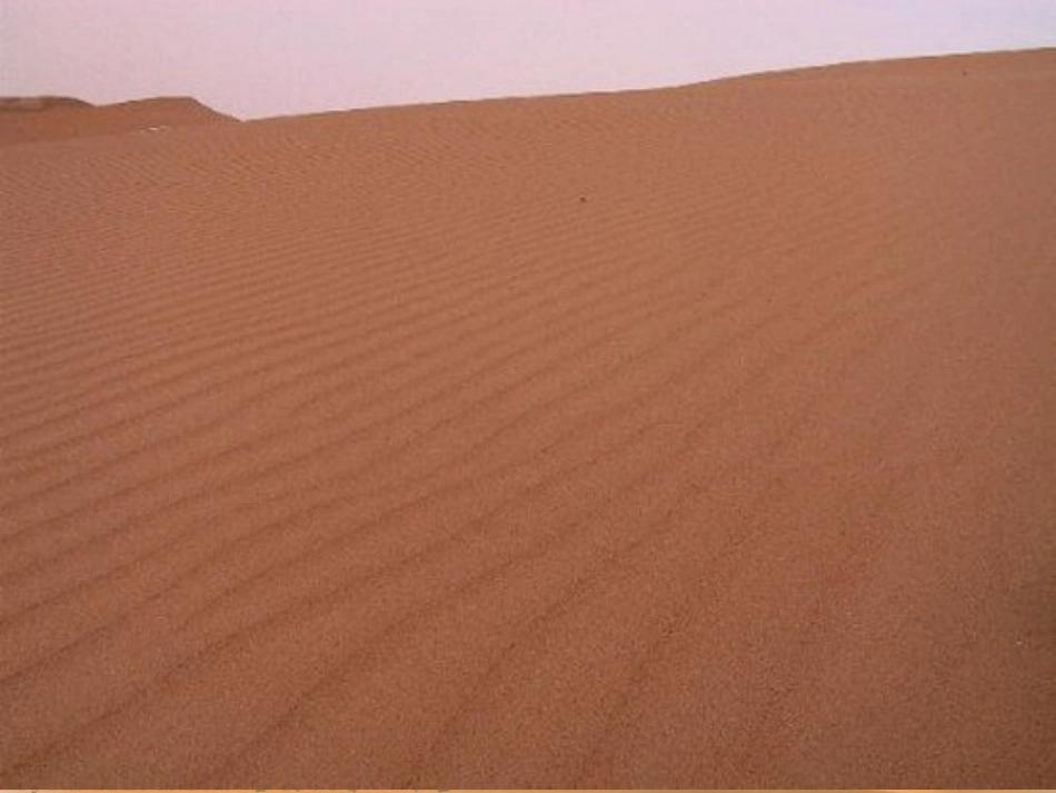 在沙漠中心._第2页