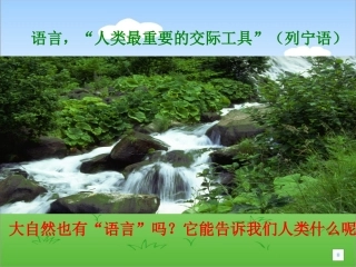 大自然的语言20161128