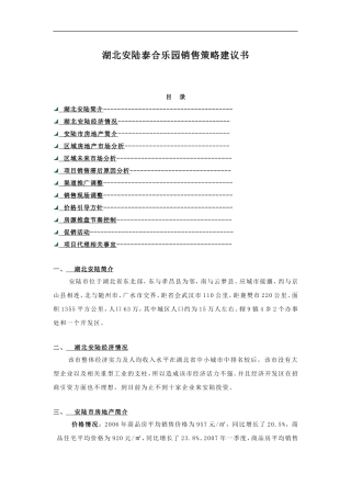 湖北安陆泰合乐园销售策略建议书