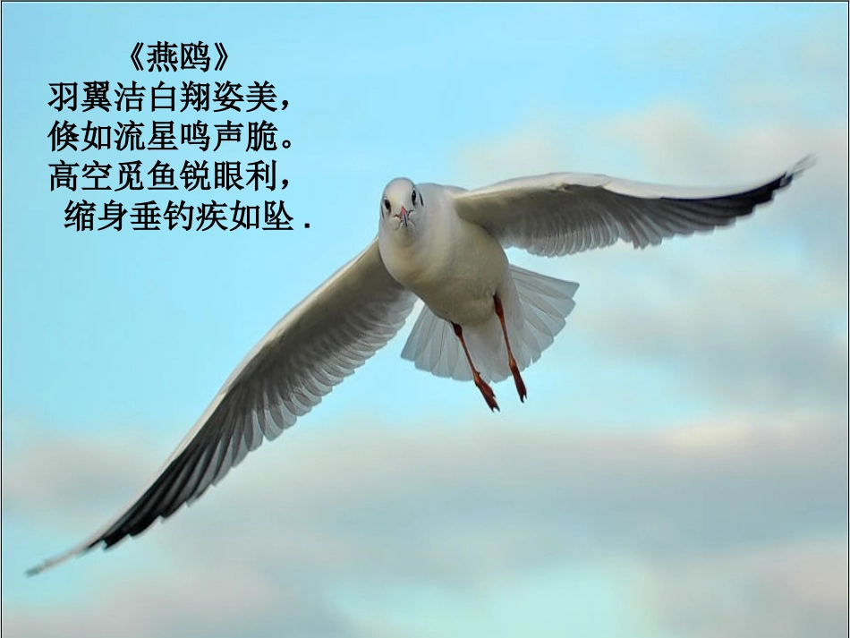 正比例课件hao_第2页