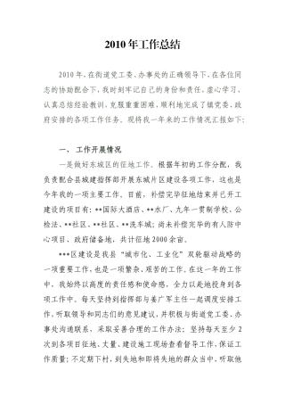 2010年乡镇长工作总结