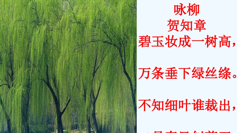 (部编)人教语文2011课标版一年级下册1-春夏秋冬-(2)_第3页