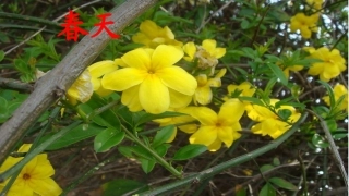 (部编)人教语文2011课标版一年级下册1-春夏秋冬-(2)