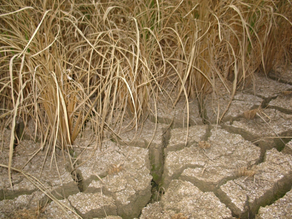 19七颗钻石_第2页