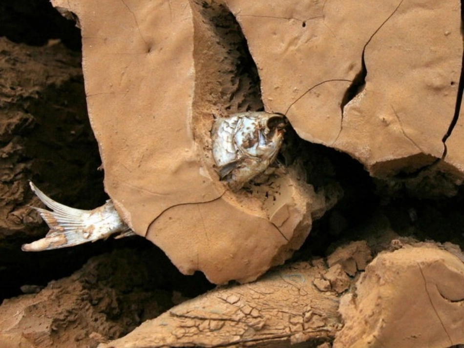 19七颗钻石_第3页