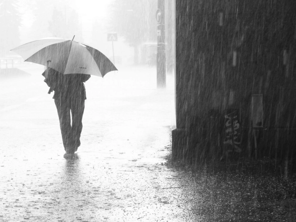 青岛版小学三年级科学上册《天气与生活》课件_第2页