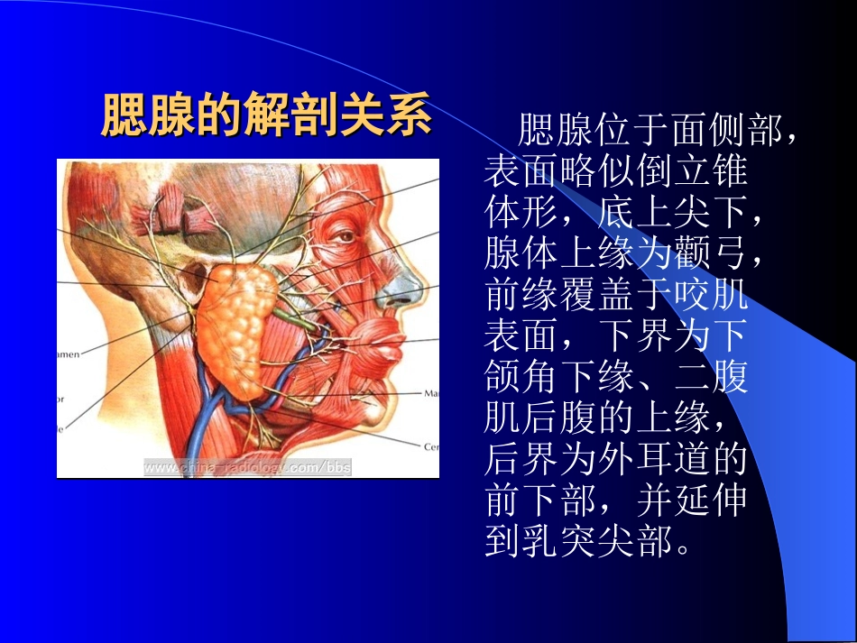 腮腺肿瘤的诊断与治疗_第2页