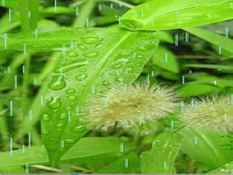 《春雨的颜色》参考课件_第2页