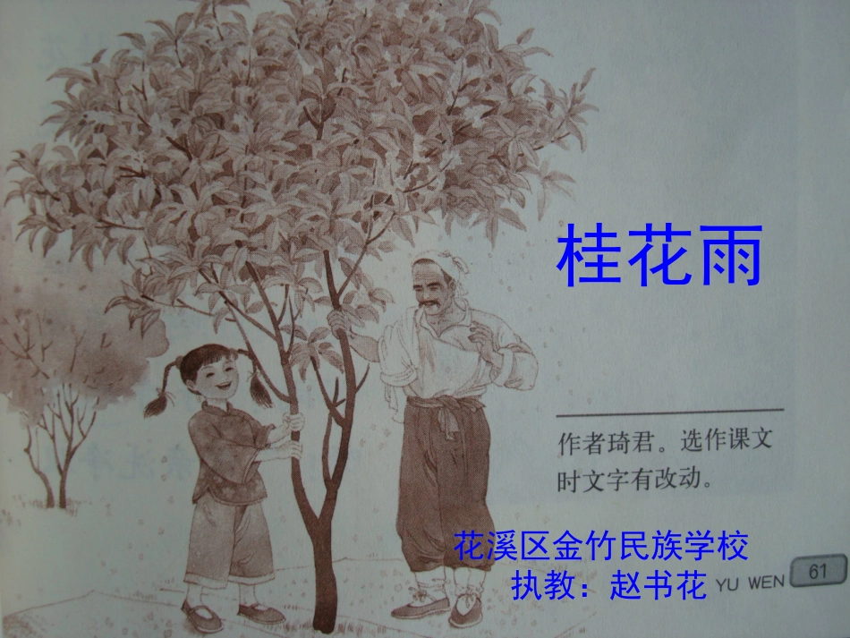 桂花雨课件-201310_第1页