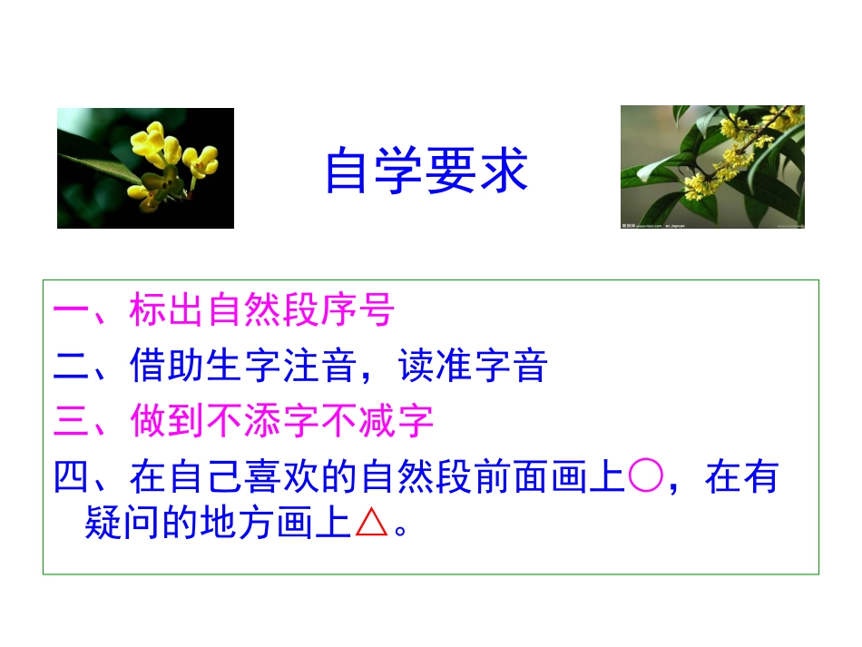 桂花雨课件-201310_第2页