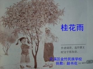 桂花雨课件-201310