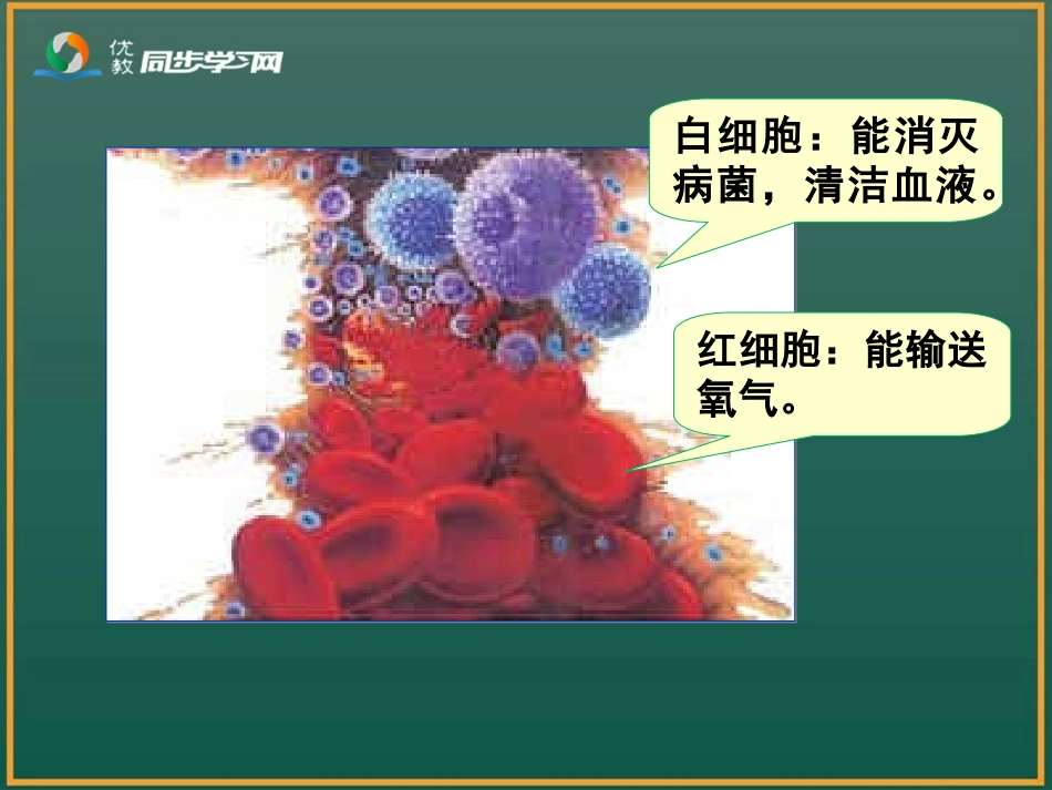 小学人教四年级数学亿以内数的改写和省略-(2)_第2页