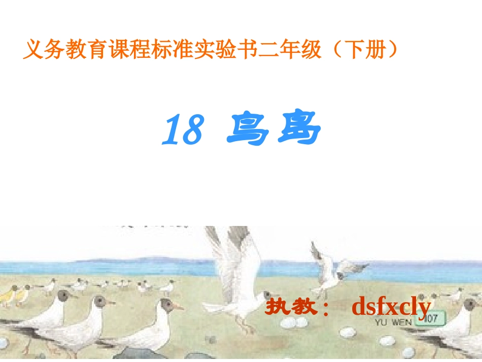 鸟岛第二课时_第1页