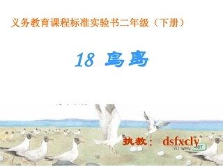鸟岛第二课时