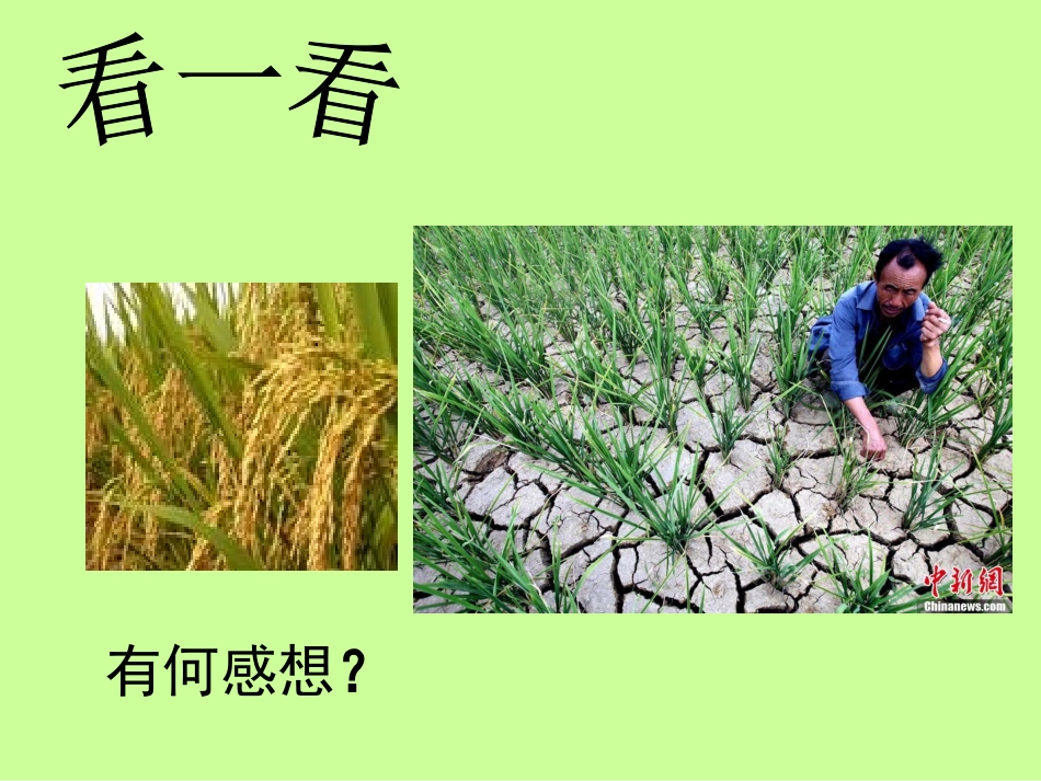 七年级生物绿色植物与生物圈的水循环1_第2页