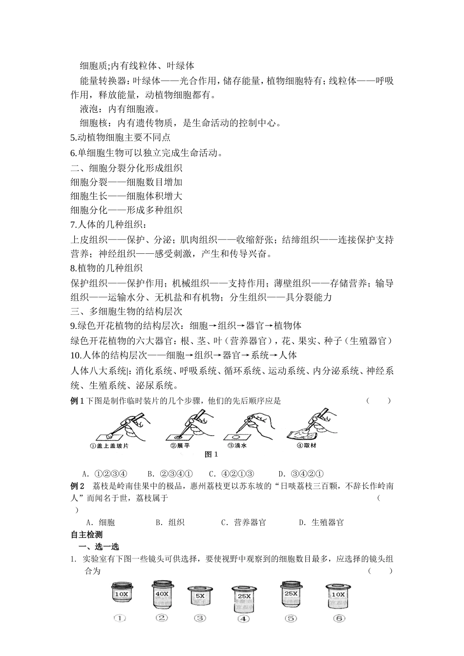 主题二-生物体的结构层次_第2页