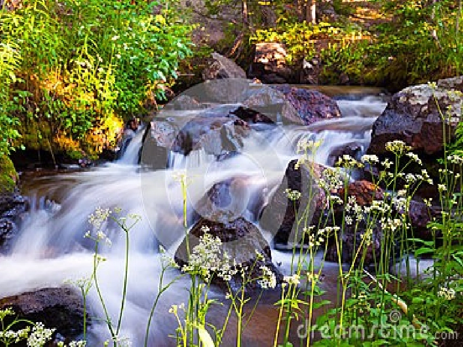 人音版小学音乐三年级下册《顽皮的杜鹃》课件_第3页