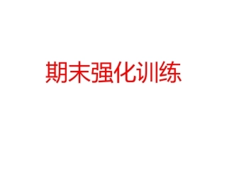 高二上期数学期末强化训练