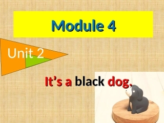 外研社三年级上册It's-a-black-dog-PPT