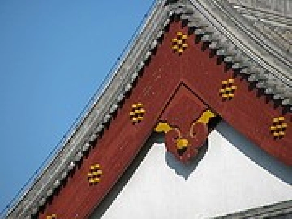 活动内容：排排队_第3页