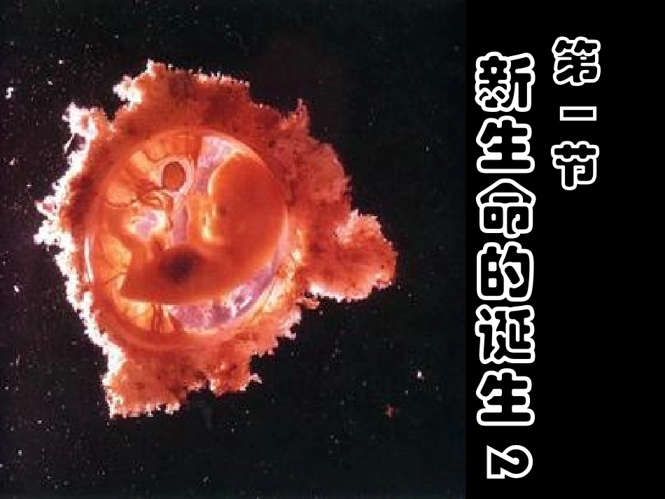 第140107号第1节-新生命的诞生-2(实用)_第1页