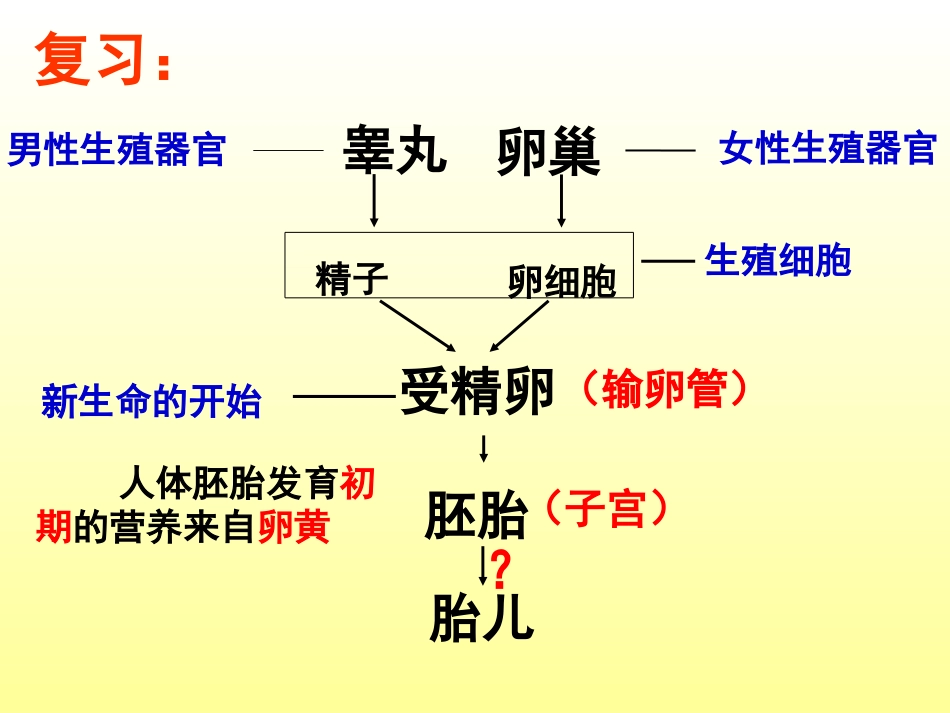 第140107号第1节-新生命的诞生-2(实用)_第2页