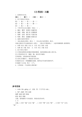 《小男孩》习题1