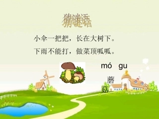 课件《蘑菇该奖给谁》