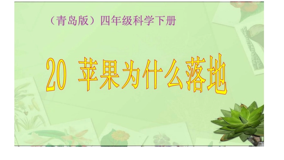 青岛版小学科学《苹果为什么会落地》ppt_第1页