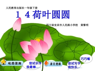 尝试教学一年级下册14课《荷叶圆圆》课件