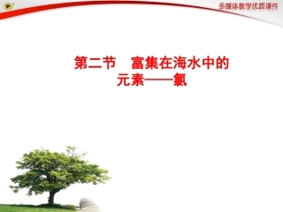第二节富集在海水中的元素——氯.