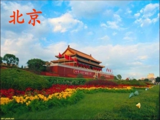 人教2011版小学数学三年级《搭配》-(2)