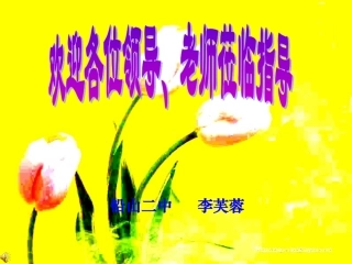 燃烧与灭火(李芙蓉)