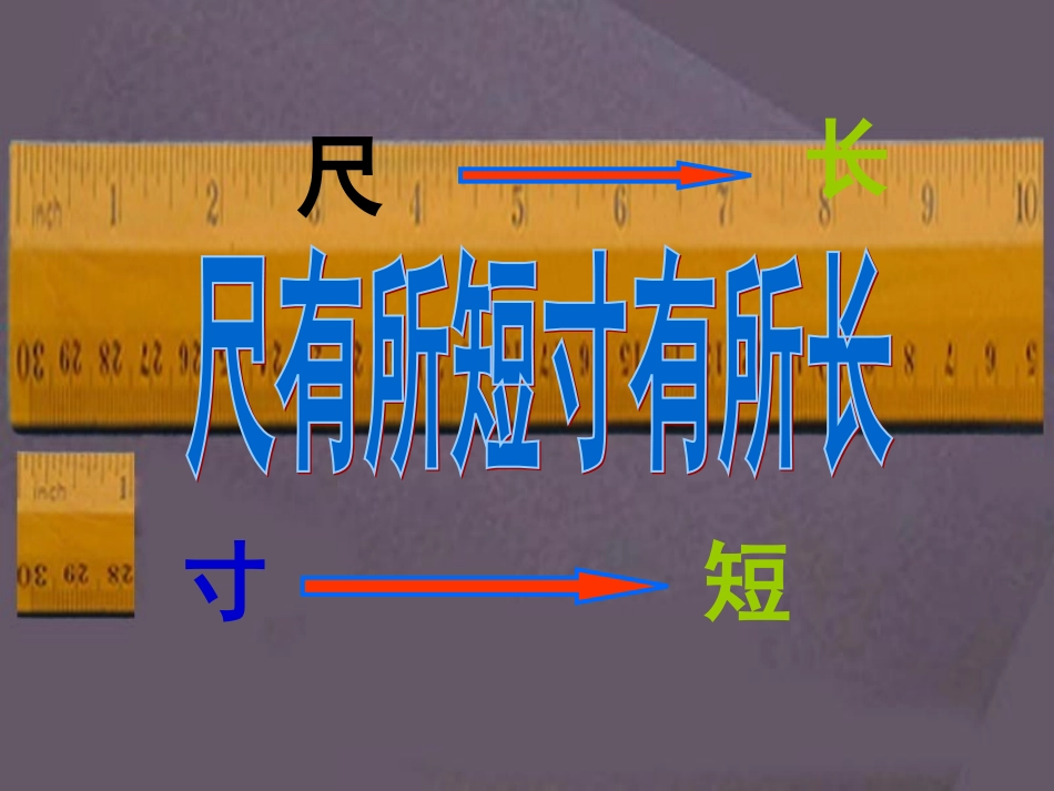 28尺有所短寸有所长_第2页