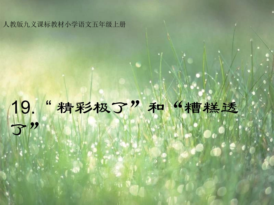 《精彩极了和糟糕透了》课件_第1页