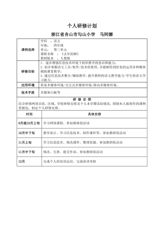 个人研修计划-(4)