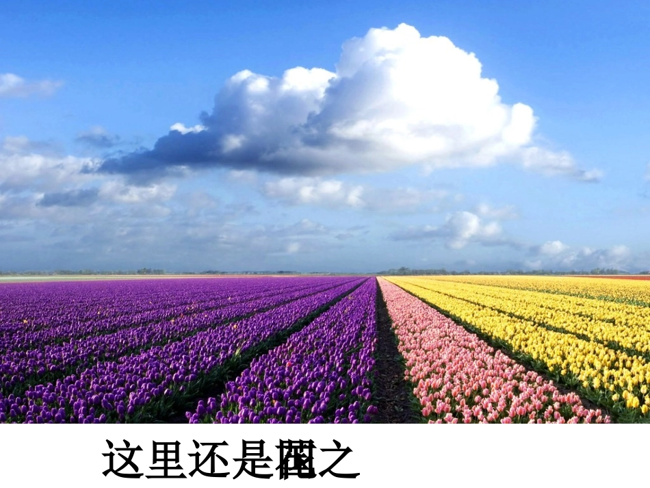 牧场之国PPT_第3页