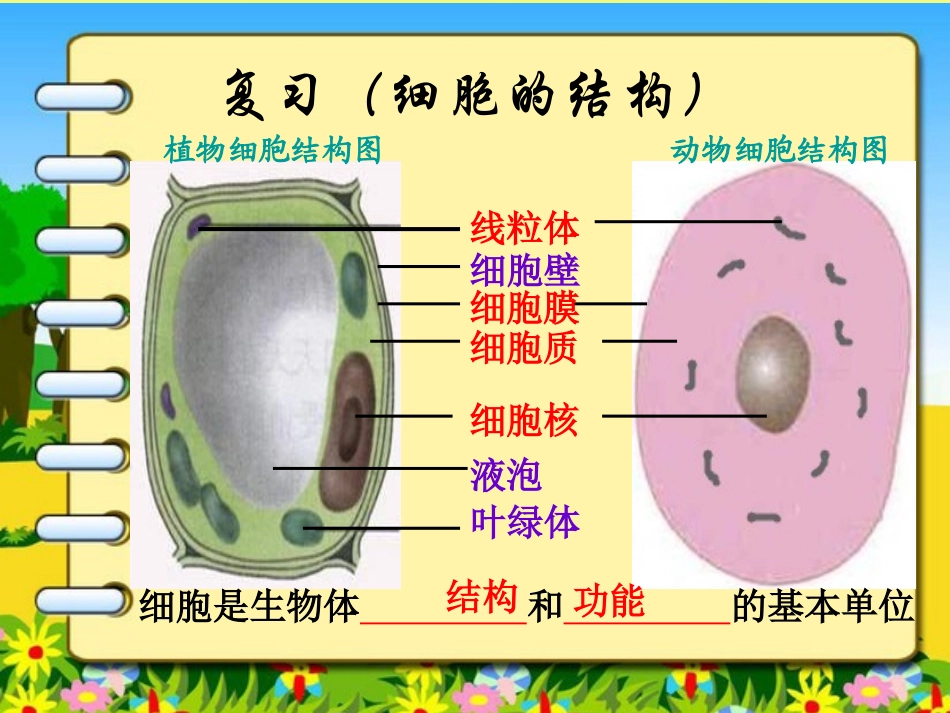 10.14上课细胞的生活_第1页