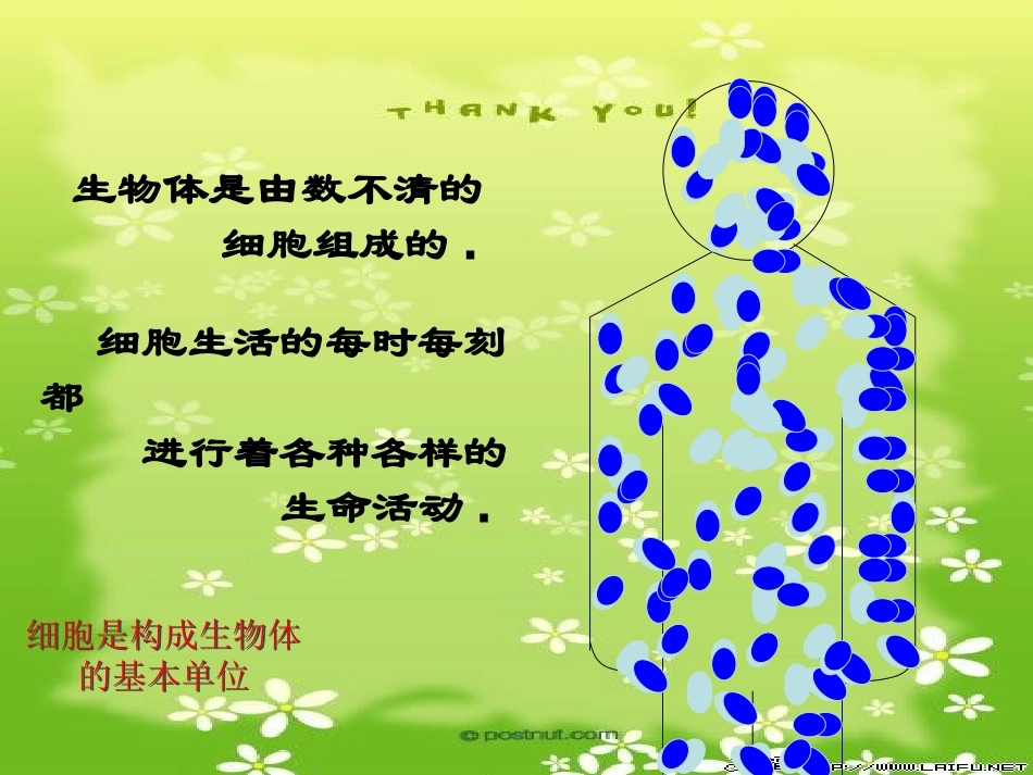 10.14上课细胞的生活_第2页