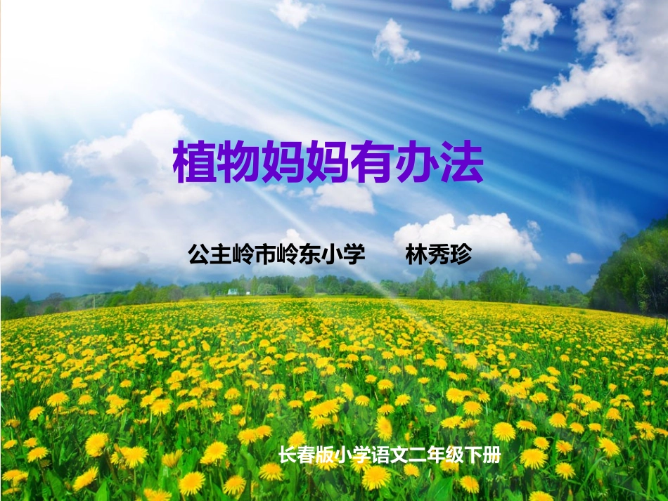 《植物妈妈有办法》_第1页