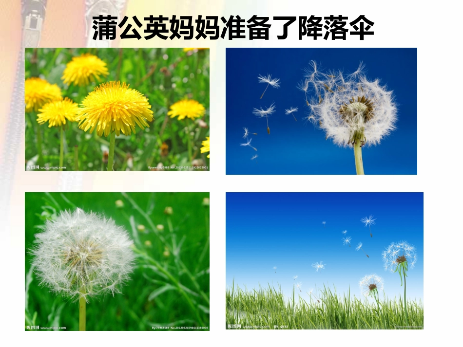 《植物妈妈有办法》_第2页