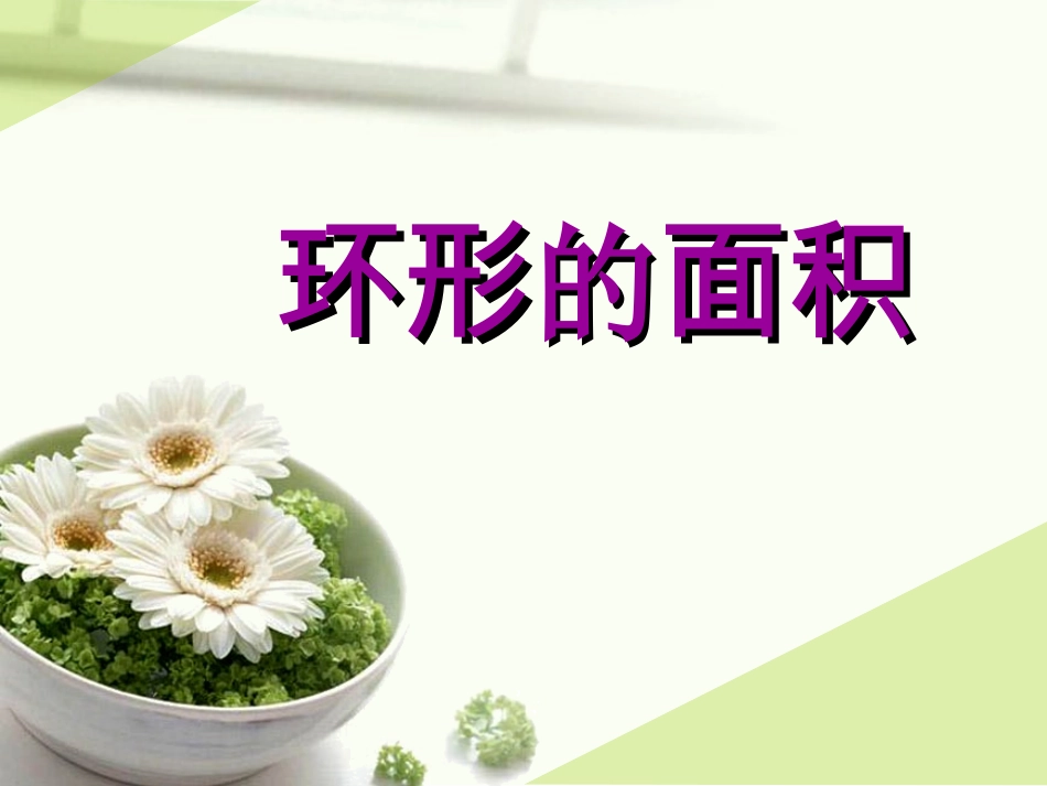 4-环形的面积课件_第2页