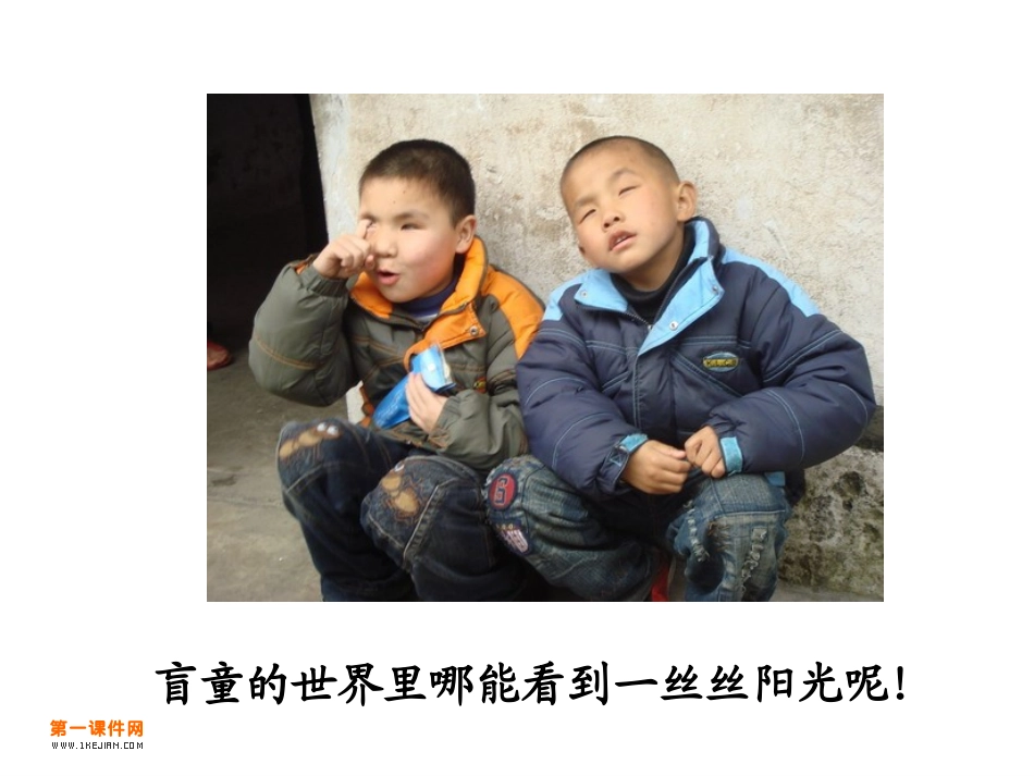 人教版四年级语文《永生的眼睛》PPT课件_第3页