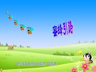 《蜜蜂引路》课件