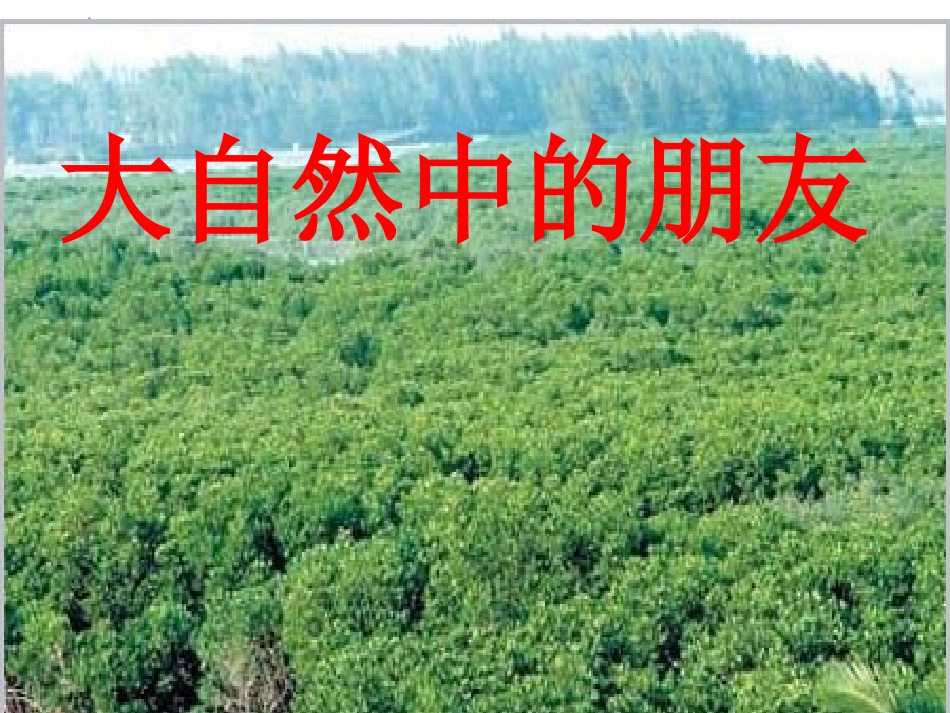 3.3--大自然中的朋友_第1页