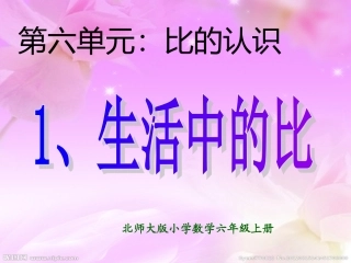 《比的认识》