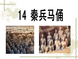 《秦兵马俑》教学课件2